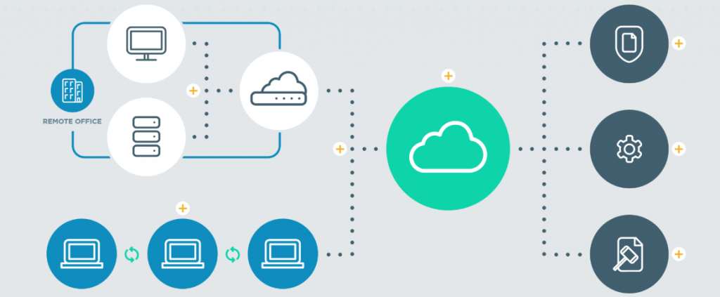 CTERA endpoint and server backup architecture